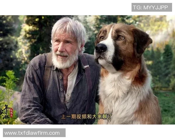 五位勇敢骑士挑战史前巨兽的惊险冒险之旅 五位勇敢骑士挑战史前巨兽的惊险冒险之旅