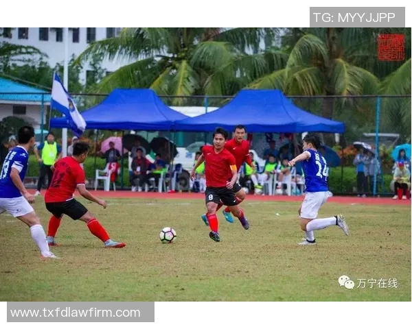 万宁籍足球明星盘点及其在足球界的成就与影响