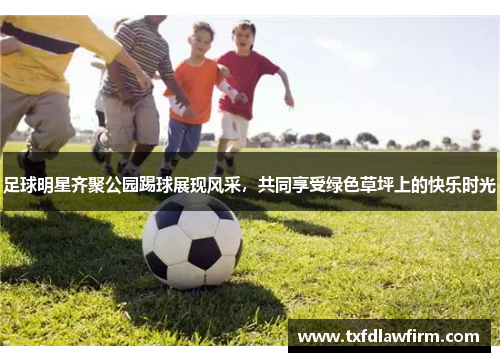 足球明星齐聚公园踢球展现风采，共同享受绿色草坪上的快乐时光