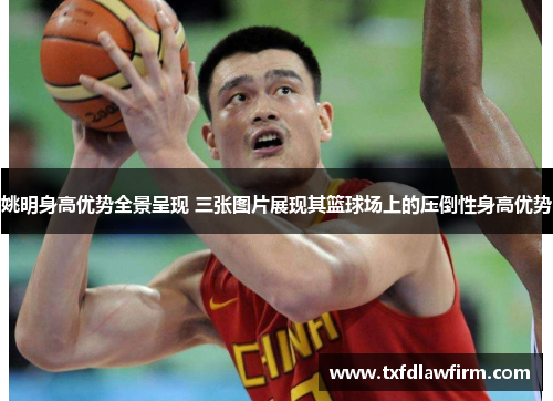姚明身高优势全景呈现 三张图片展现其篮球场上的压倒性身高优势
