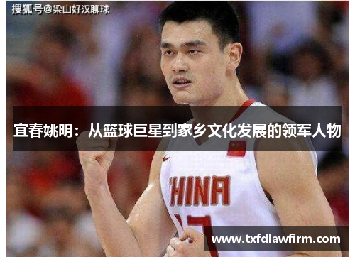 宜春姚明：从篮球巨星到家乡文化发展的领军人物