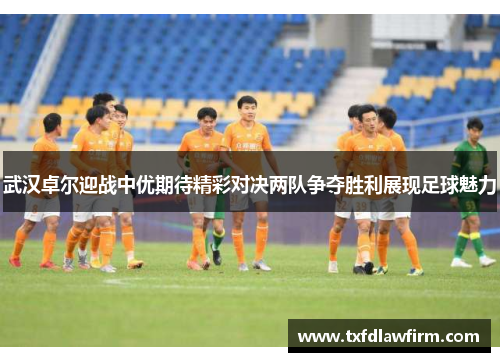 武汉卓尔迎战中优期待精彩对决两队争夺胜利展现足球魅力